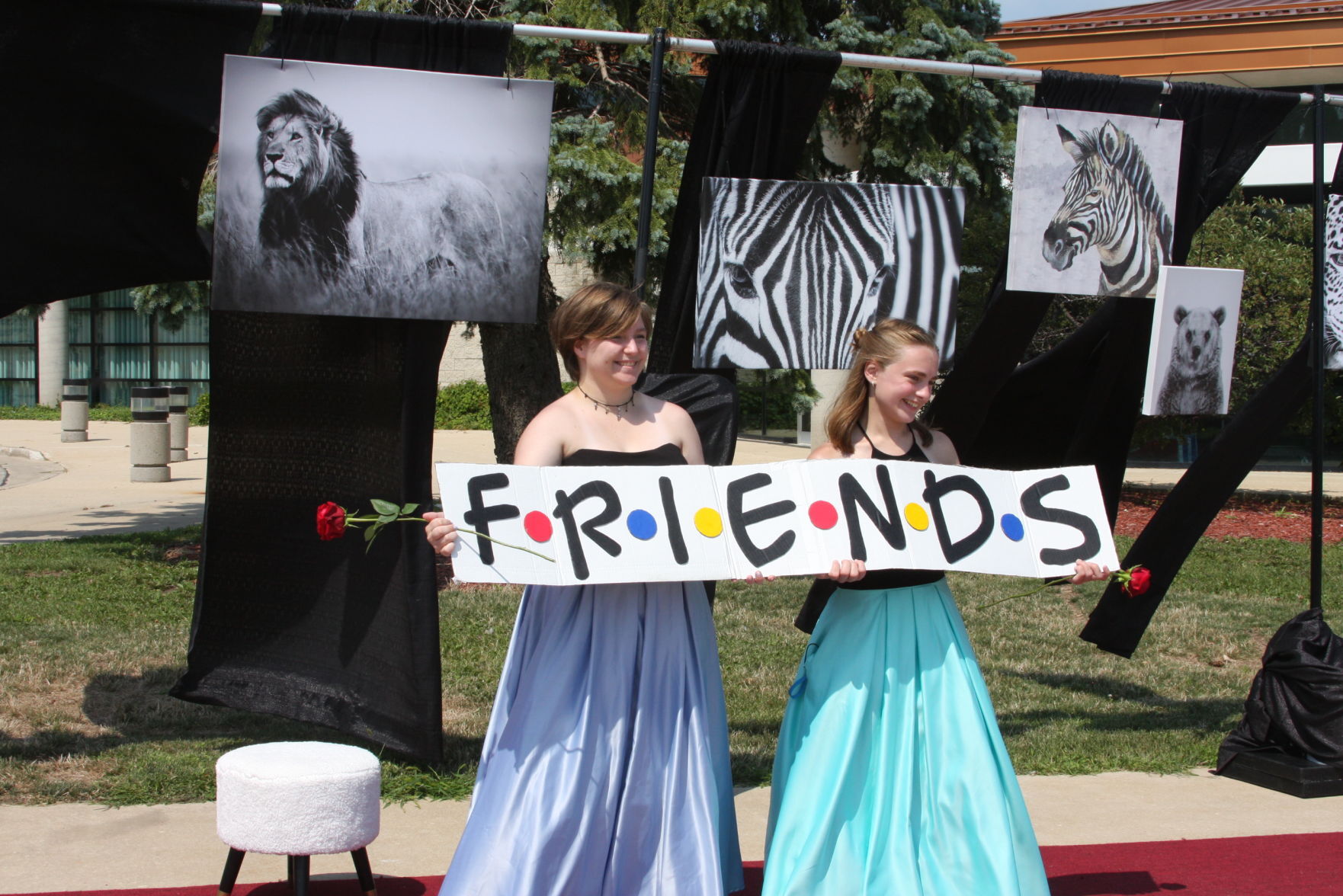 'Friends'